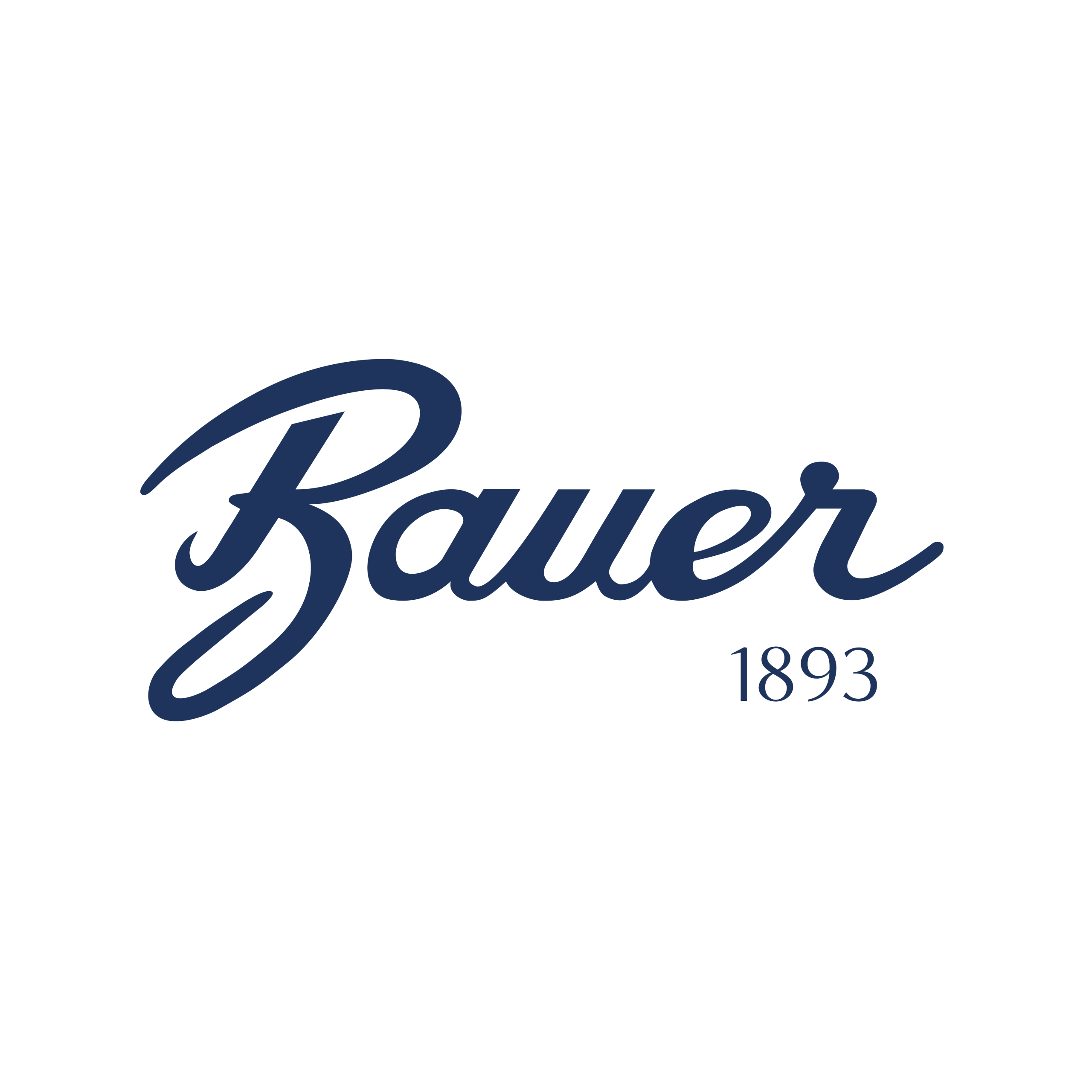 Joyería Bauer